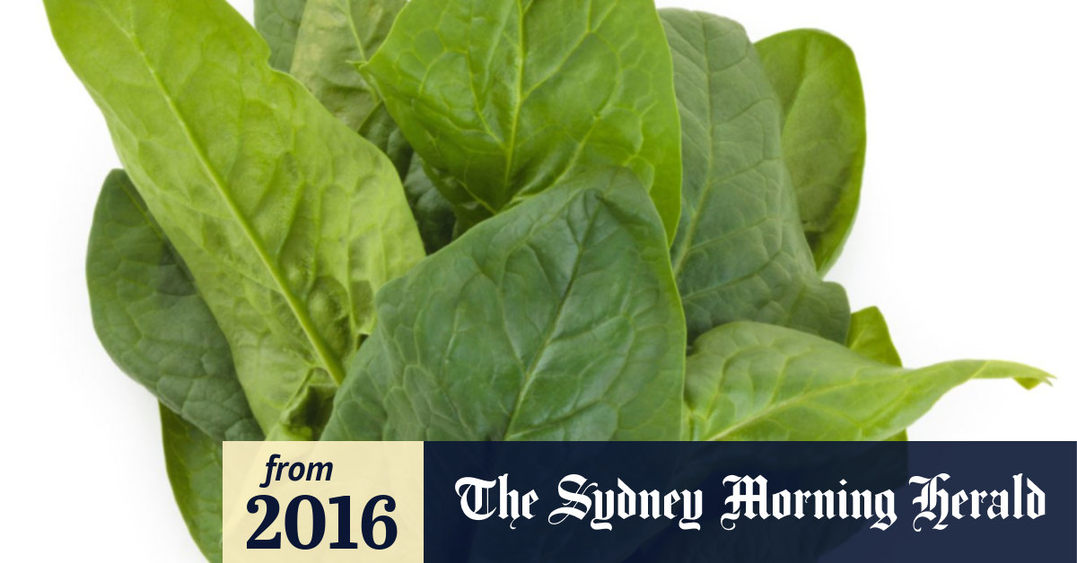 Bionic spinach plants can detect bombs